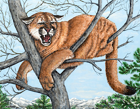 Beware Cougar in a Tree Numbered and signed very cool prints wildlife Tall Ships Military Kandahar Prints